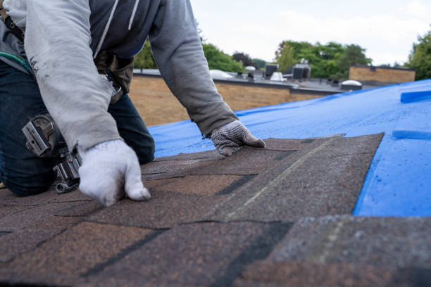 Best Commercial Roofing Services  in Montague, MI
