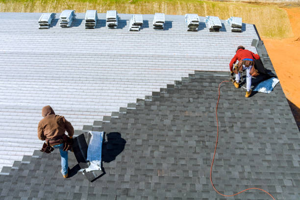 Best Roof Repair Services  in Montague, MI