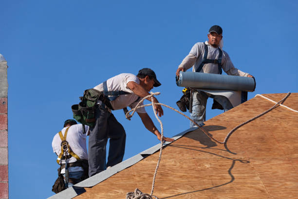 Best Roof Maintenance Services  in Montague, MI