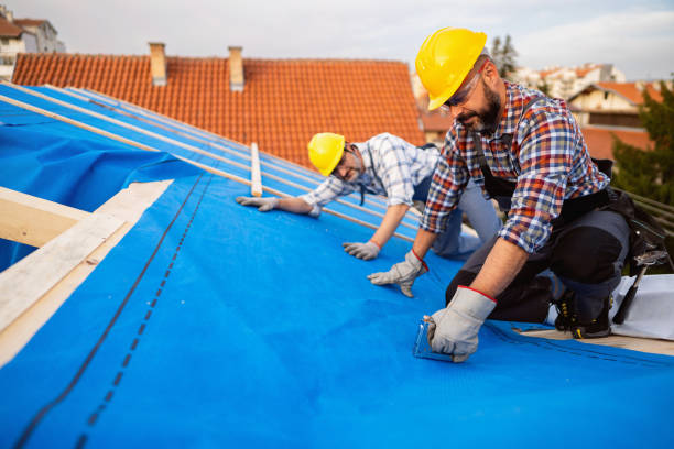 Best Roof Gutter Cleaning  in Montague, MI