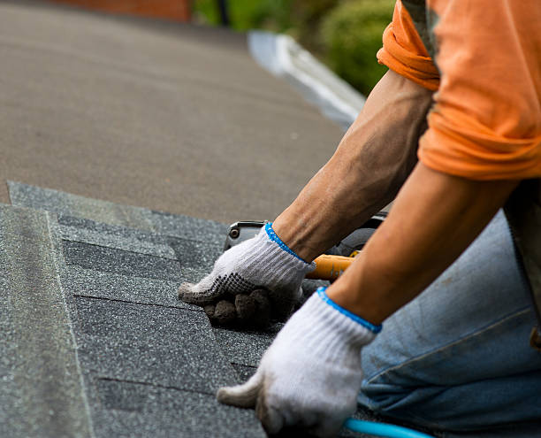 Best Roof Repair Services  in Montague, MI